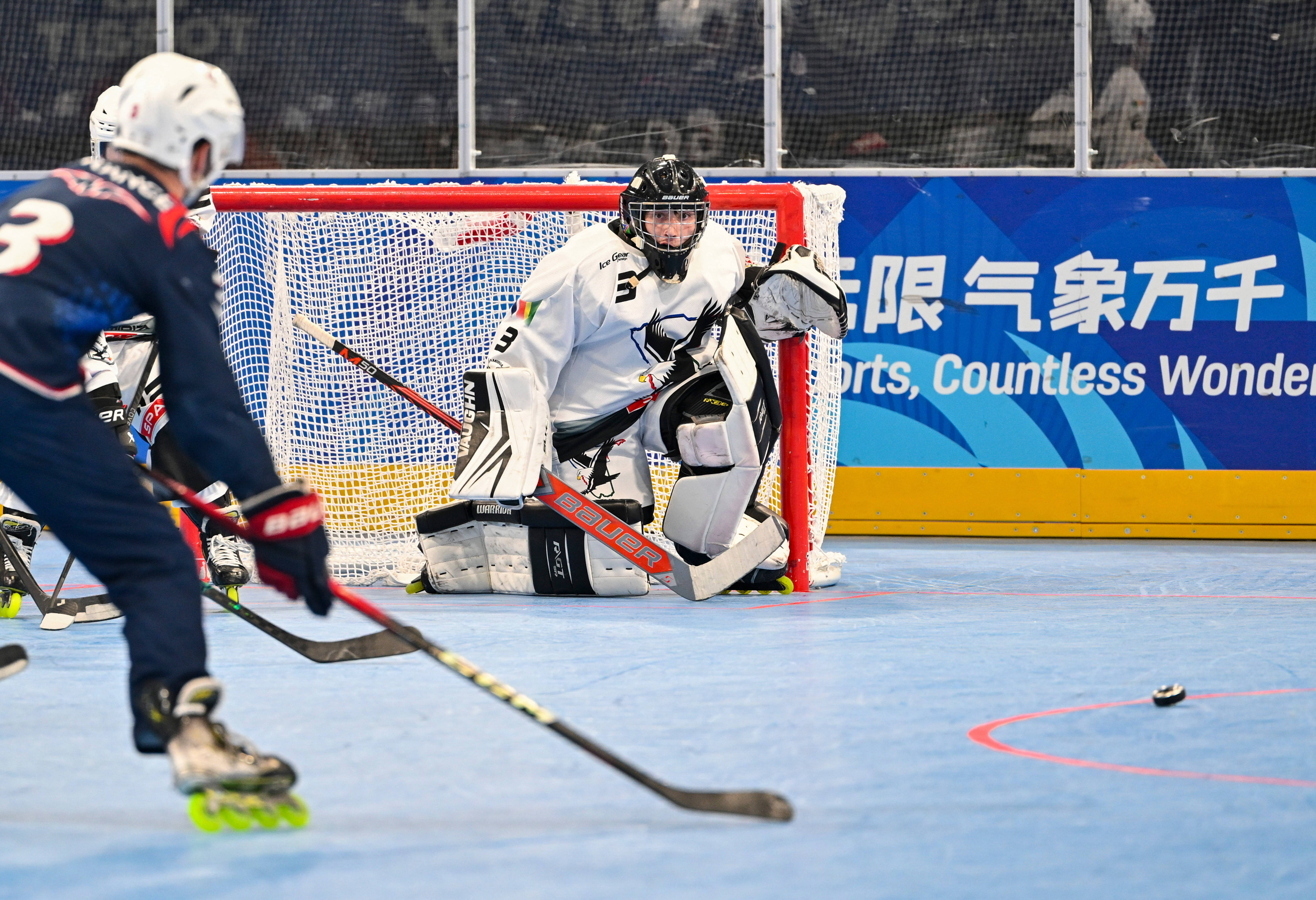 (成都世运会)单排轮滑球——男子铜牌赛:纳米比亚队胜法国队